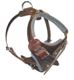 dog harness swastik international 10